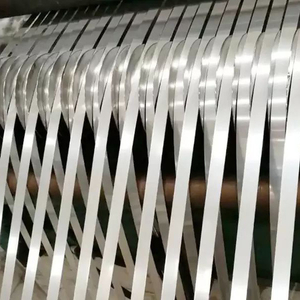 Stainless steel strip